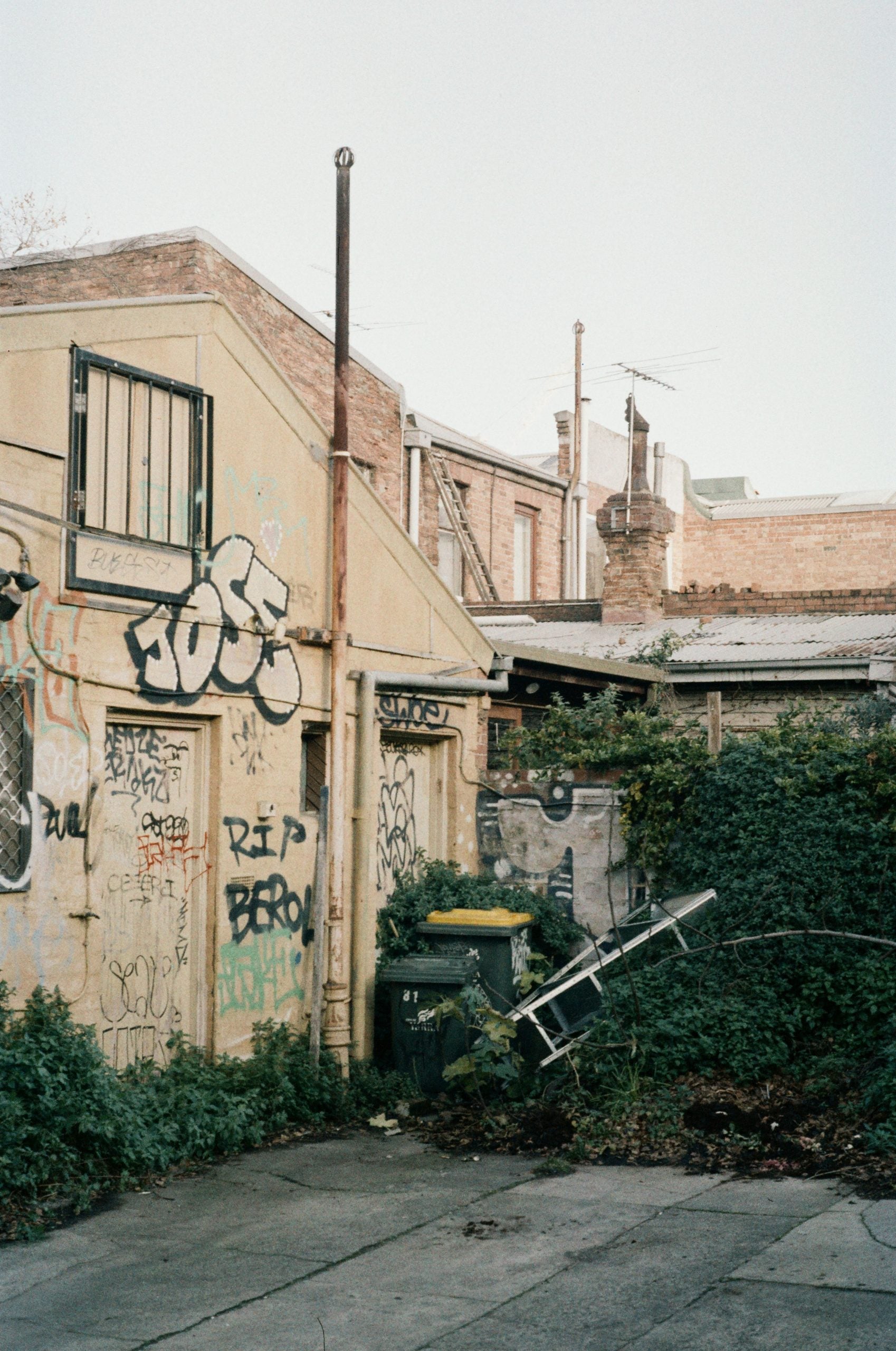 ORWO NC500 35mm