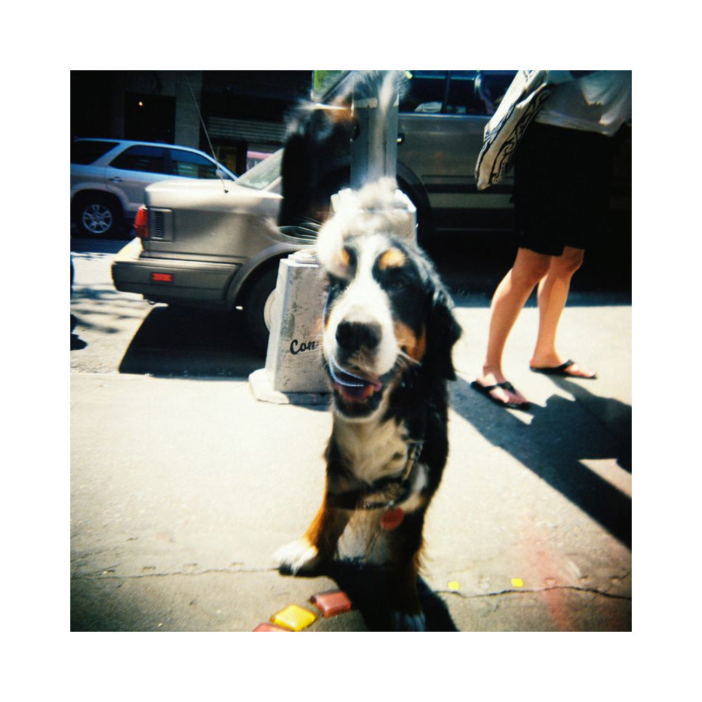 Lomography Diana F+ Camera & Flash