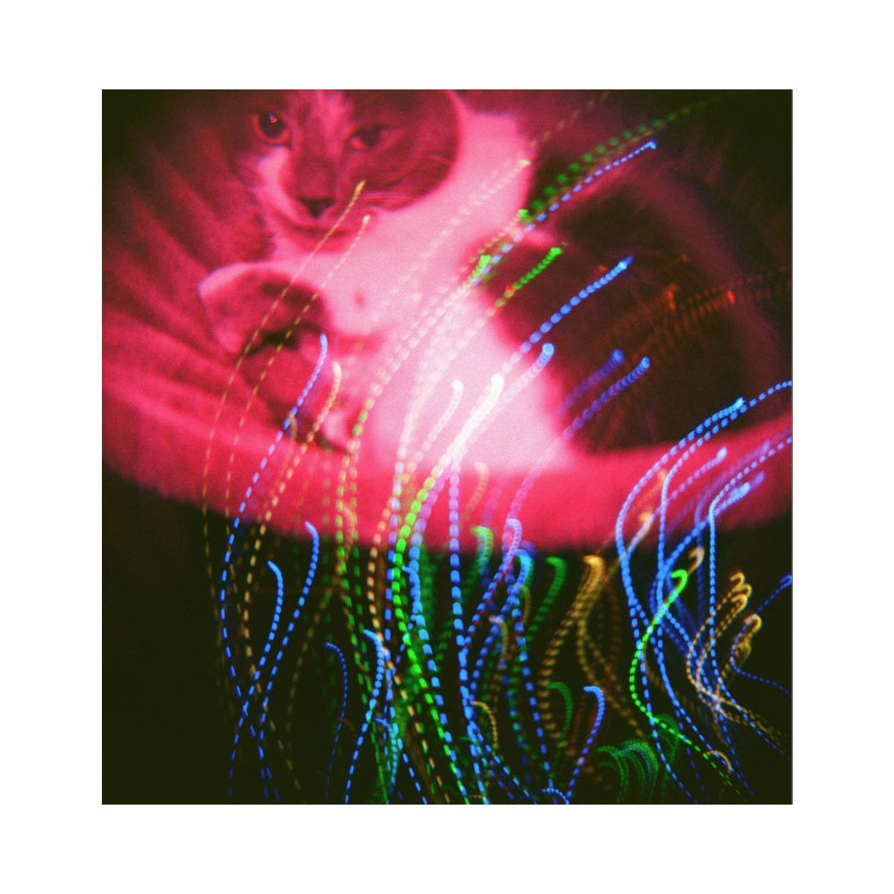 Lomography Diana F+ Camera & Flash