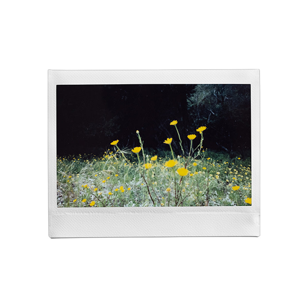 Fujifilm Instax Wide 400 Camera