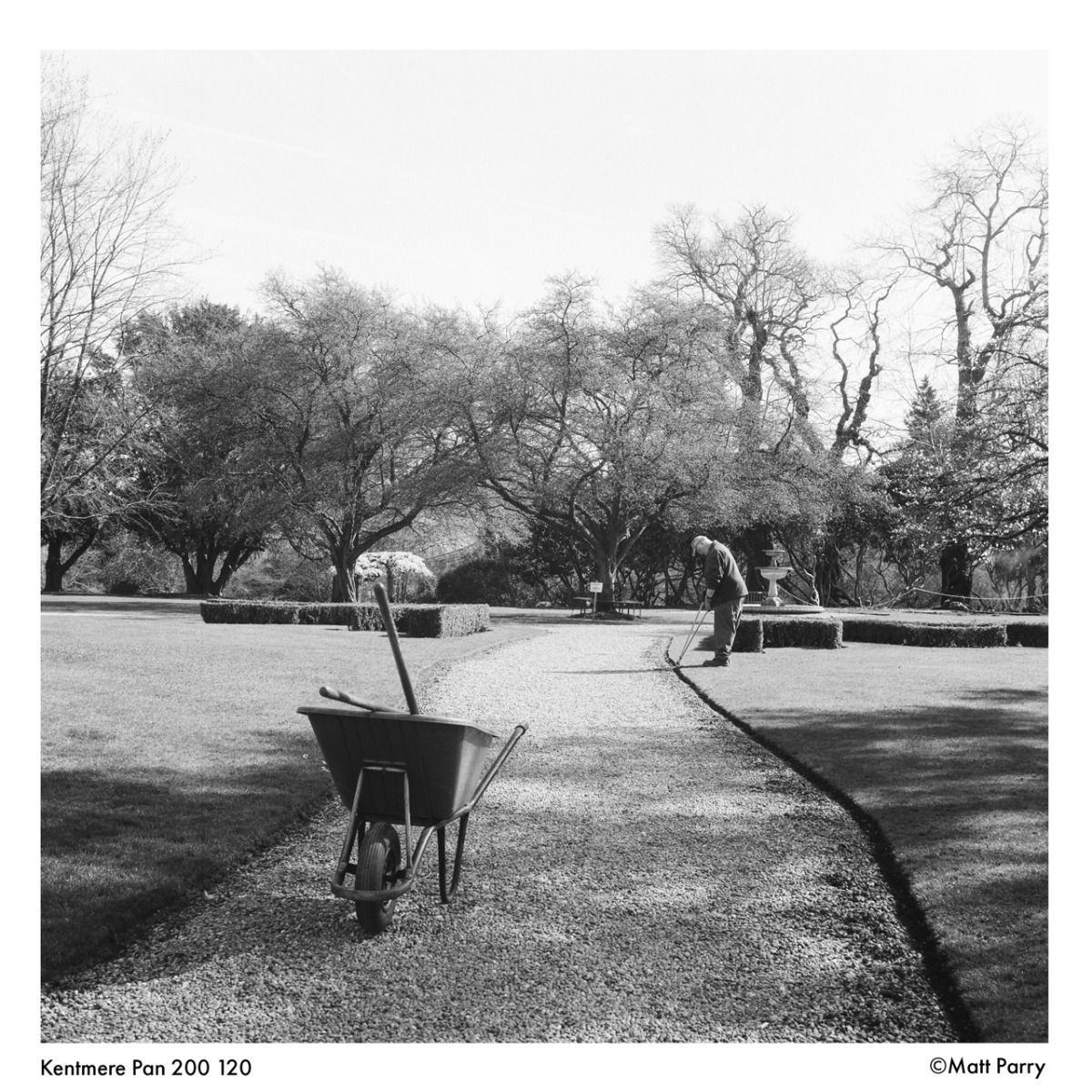Kentmere Pan 200 120 Film