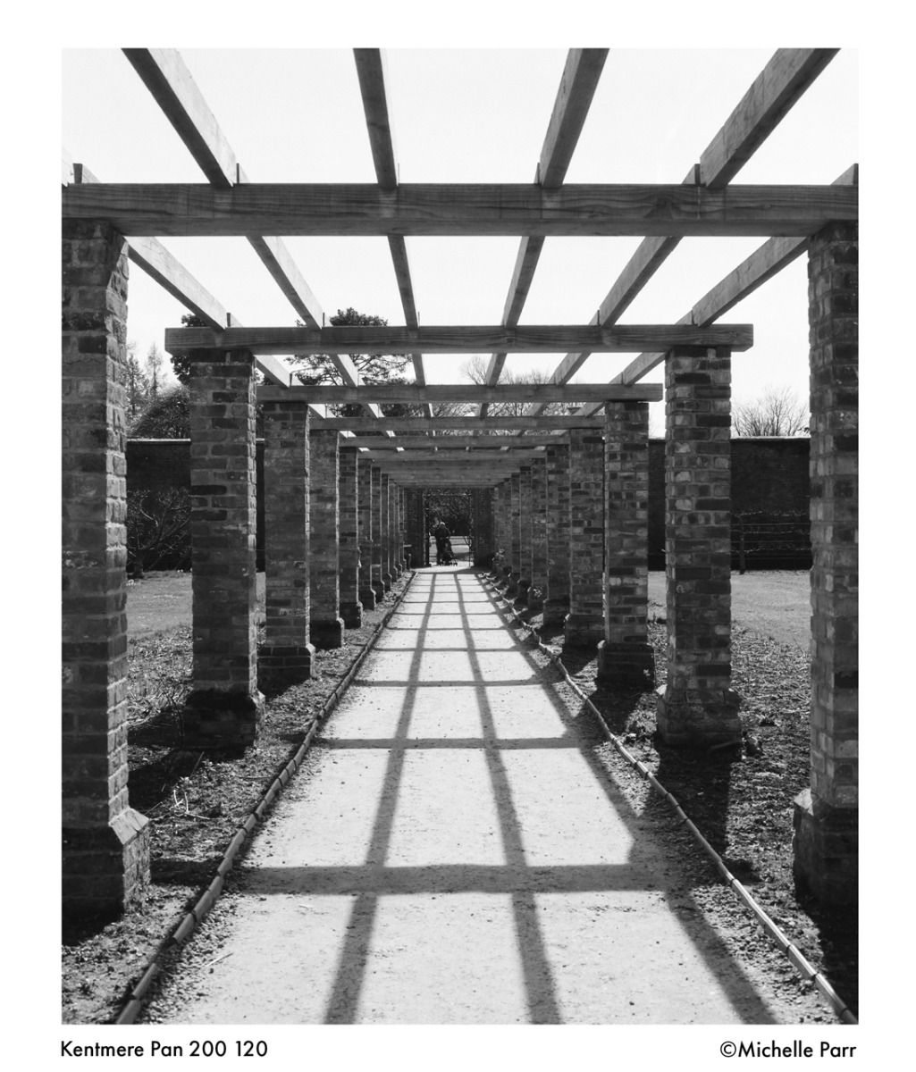 Kentmere Pan 200 120 Film