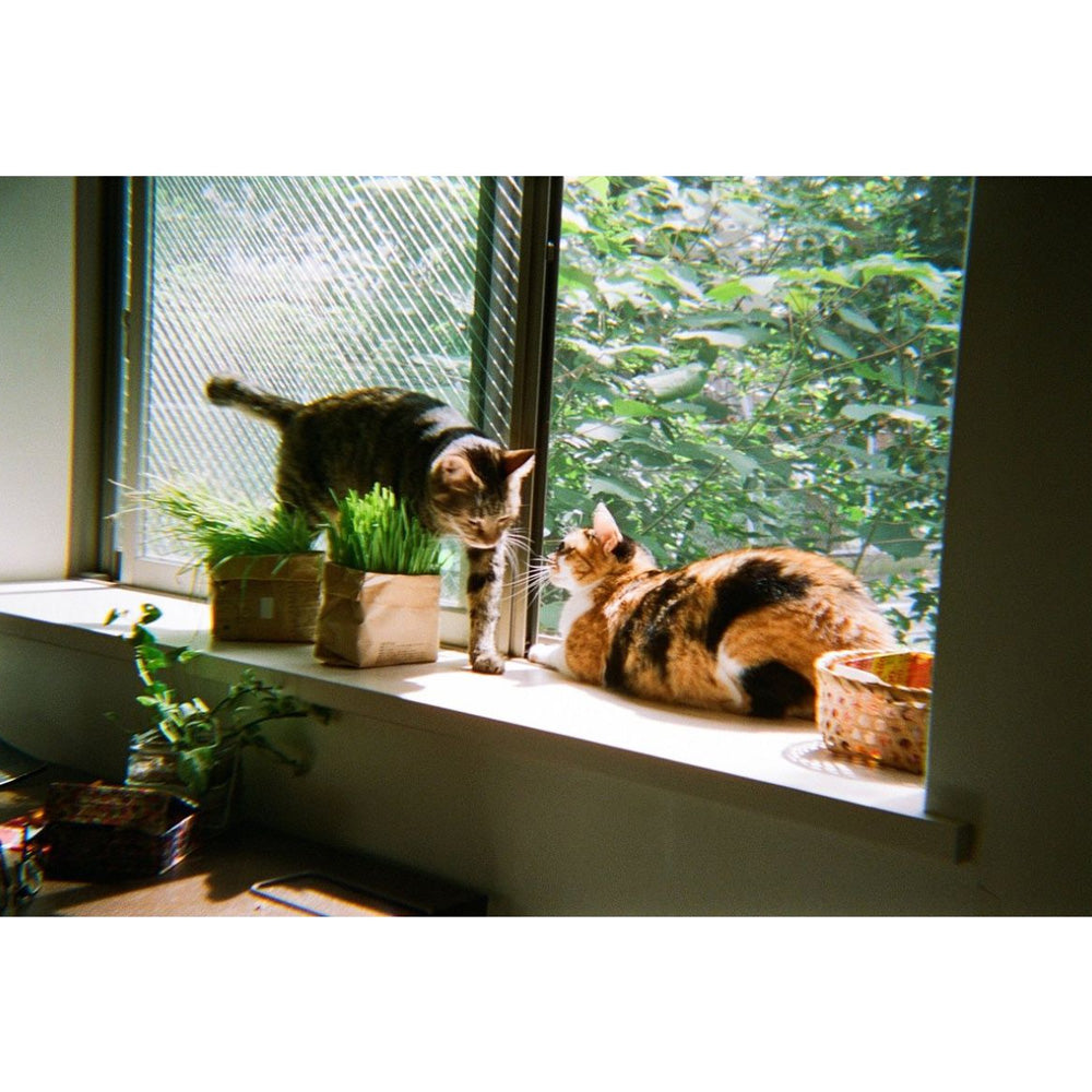 Lomography Konstruktor Flash SLR DIY Camera
