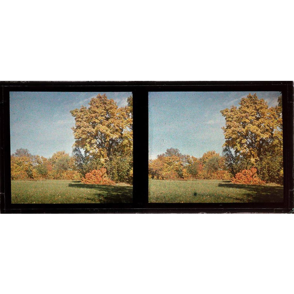 Jacques-Henri Lartigue: The Proof of Color