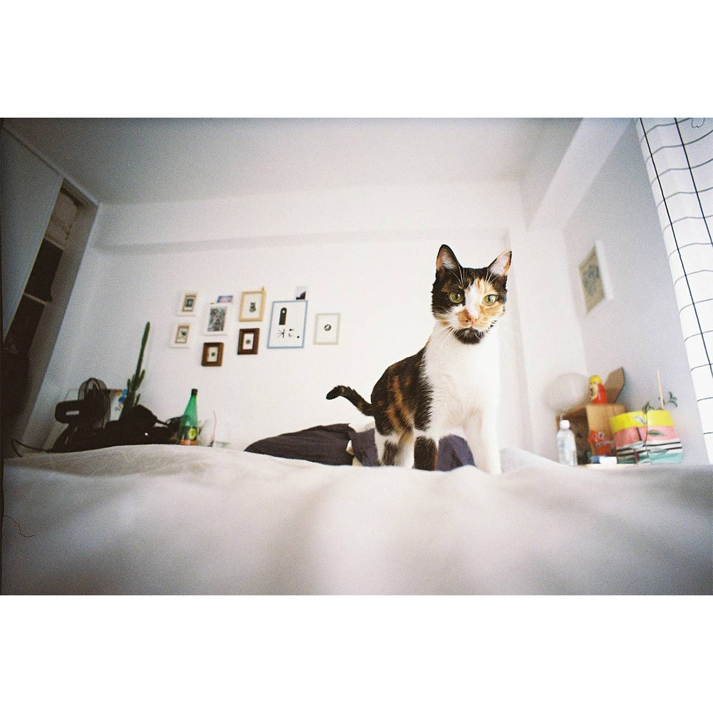 Lomography Lomo LC-Wide 35mm Film Camera