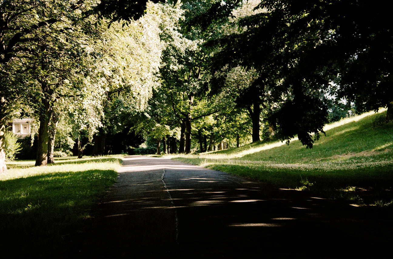 ORWO NC500 - 100ft 16mm Film