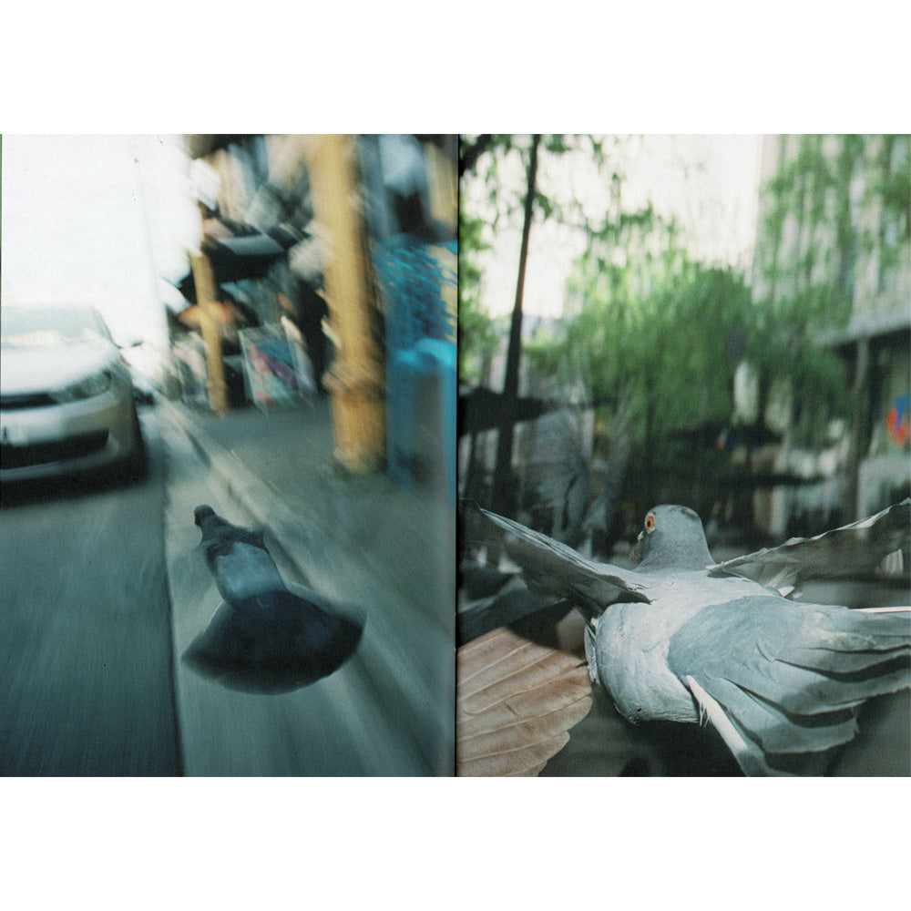 'Pigeon Envy' Zine