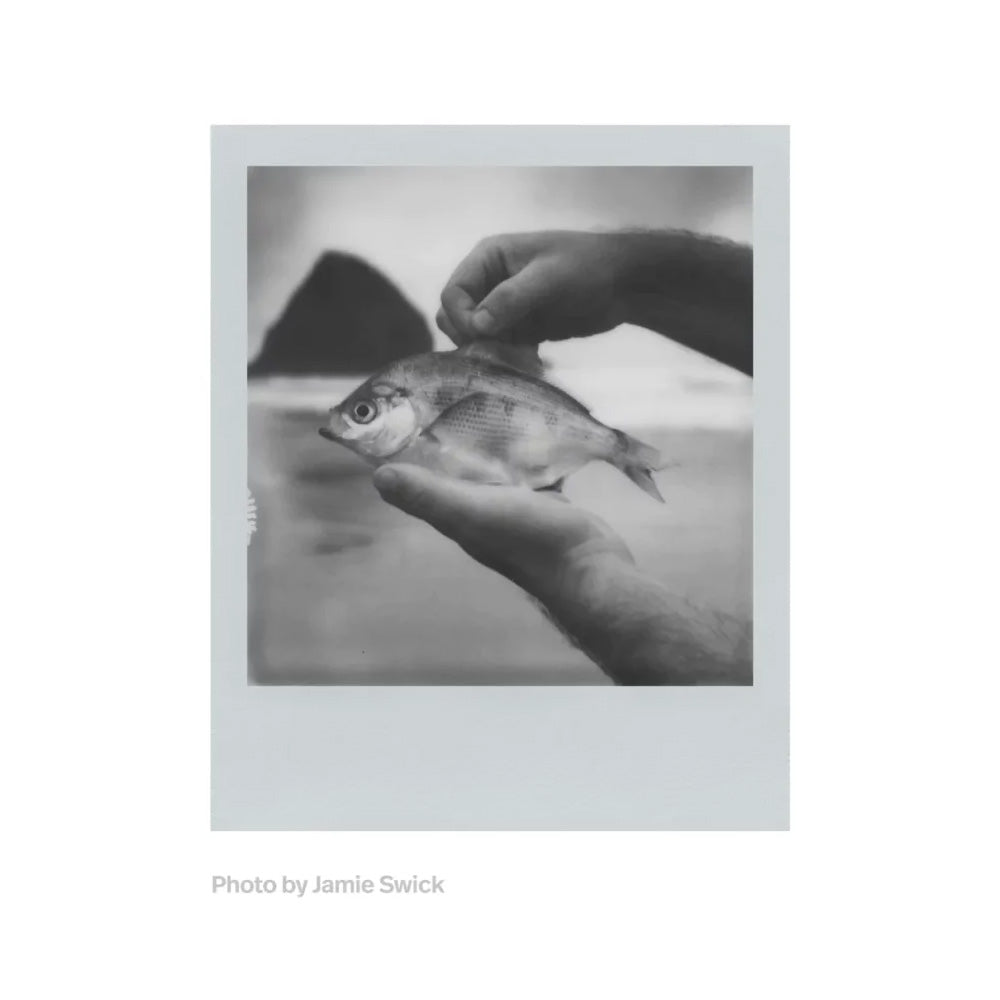 Polaroid 600 Monochrome Frames Black & White Film (SHORT DATED)