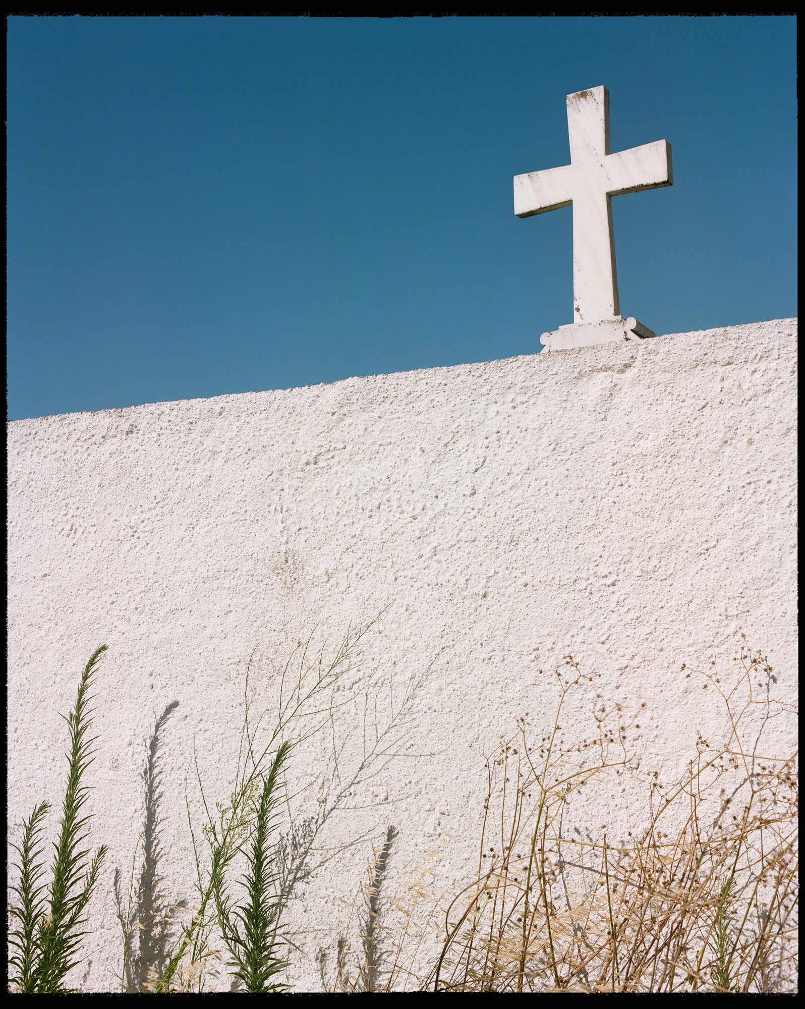 Portra 400 35mm