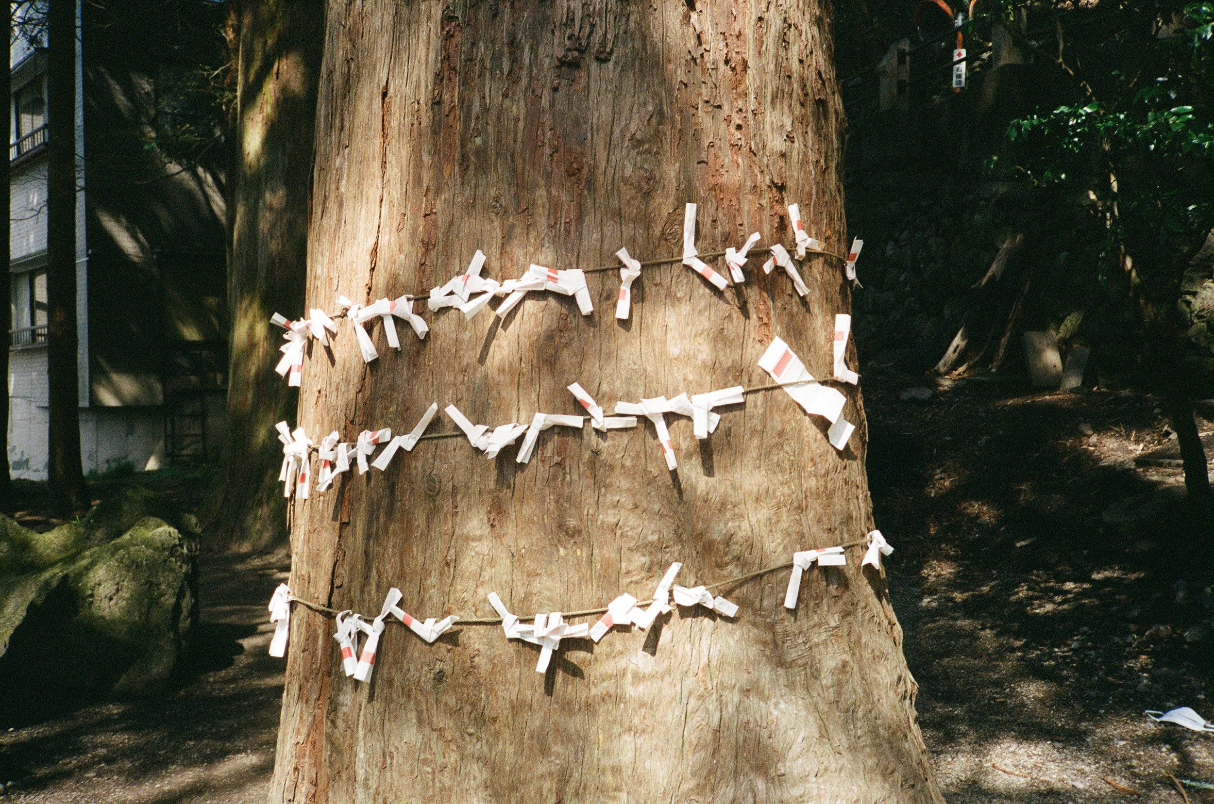 Rollei 35AF Film Camera