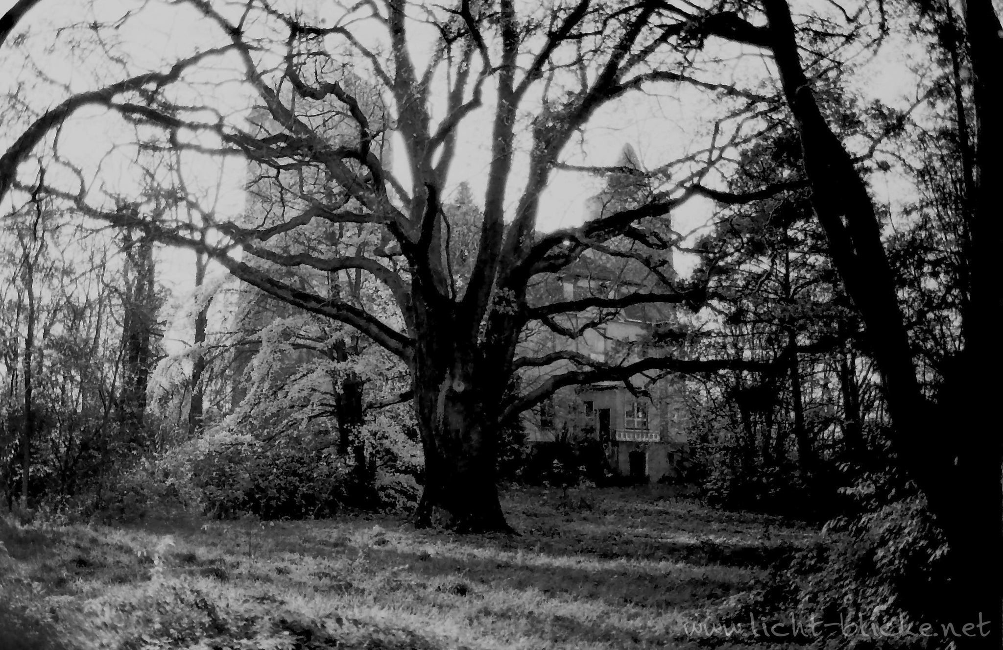 ORWO UN54 100 35mm