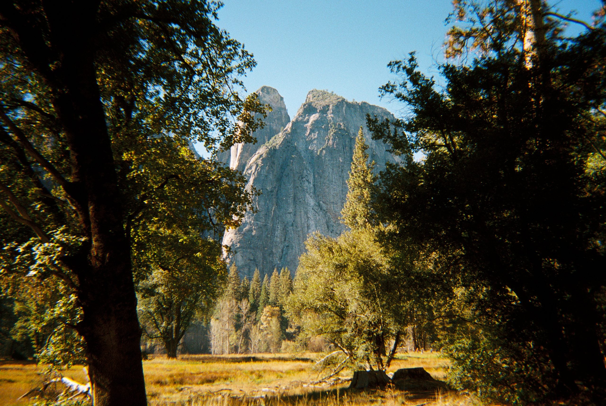 Long Weekend 35mm Film Camera - Black