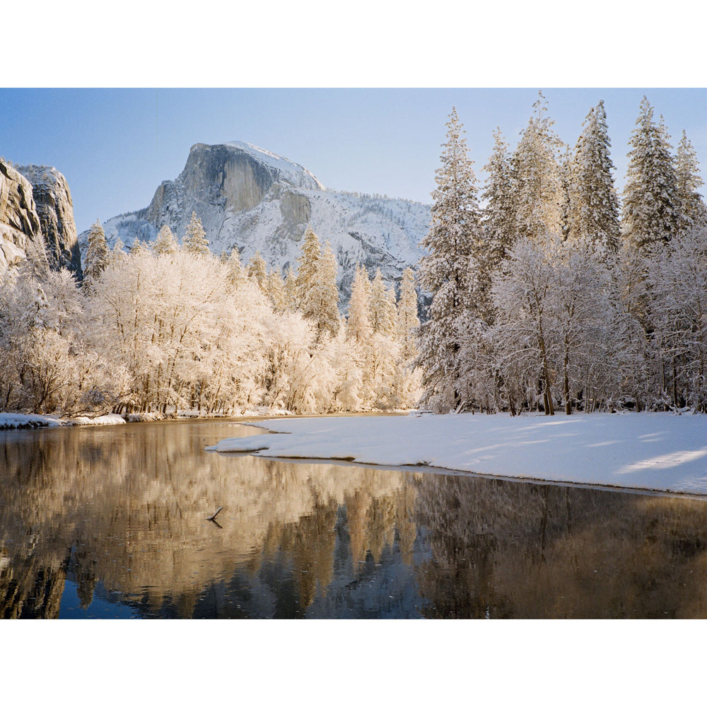 Kodak Gold 200 120 Film