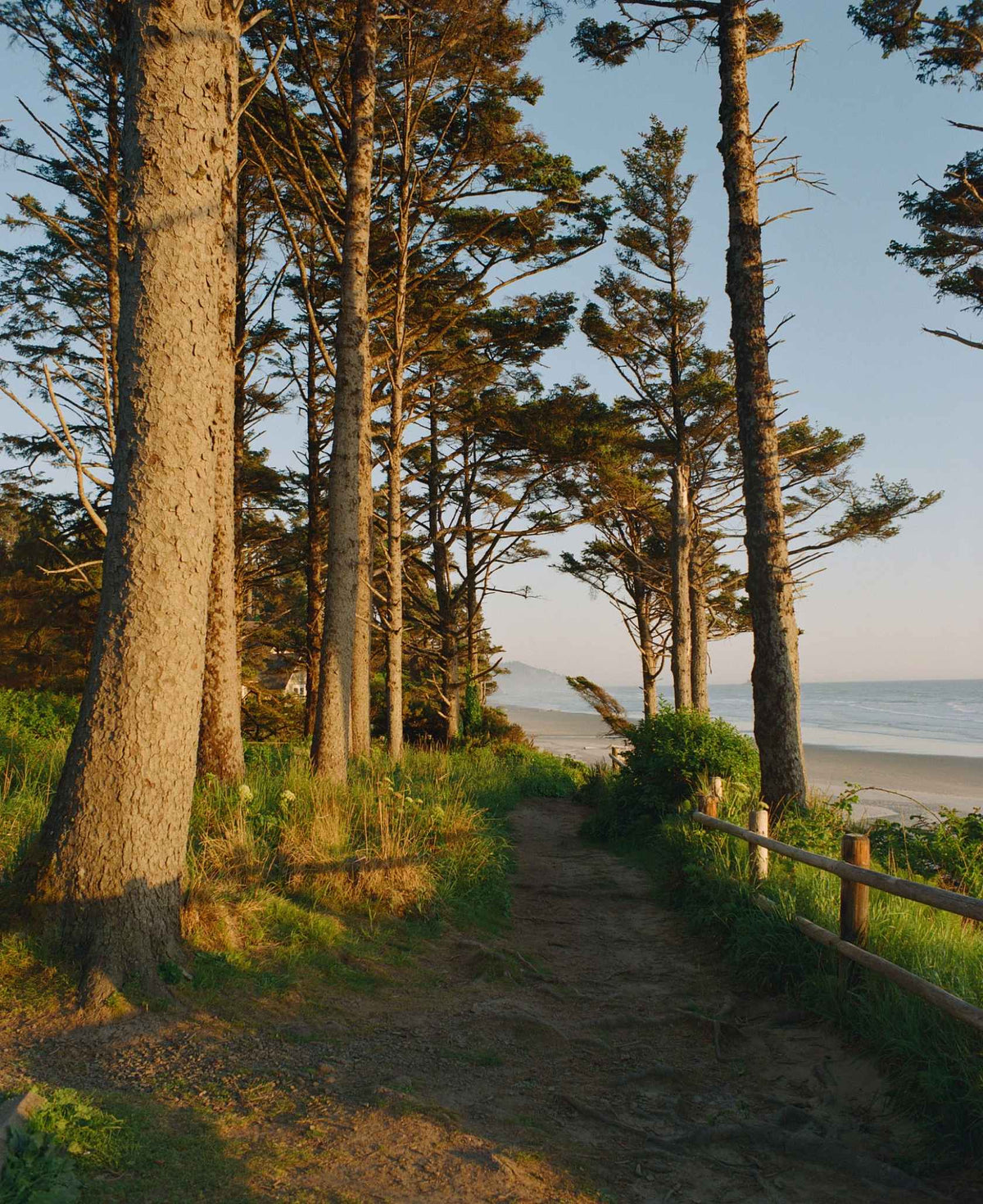 Kodak Ektacolor Pro 800 35mm