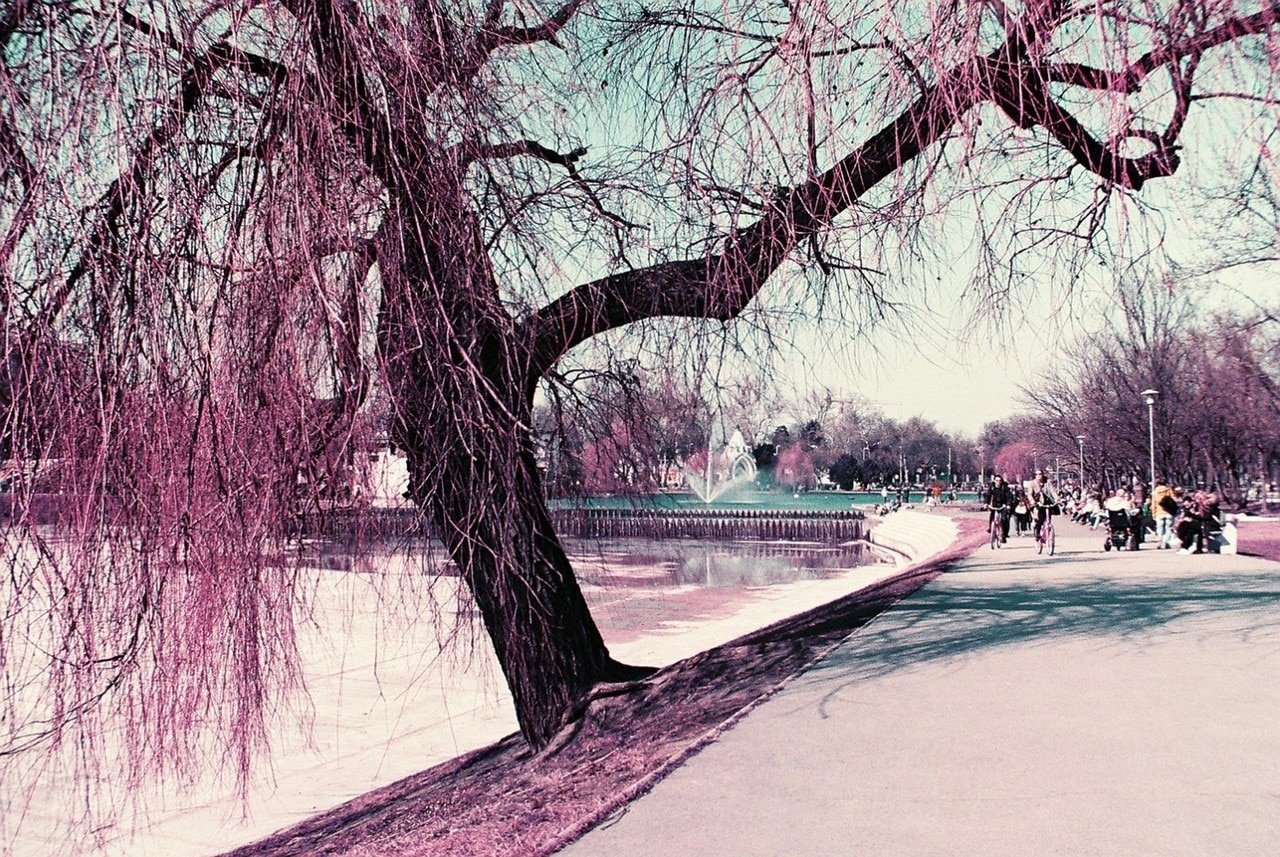 Lomochrome Purple XR 100-400 35mm
