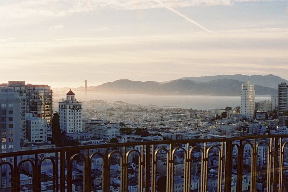 800 Tungsten Xpro 120 Film