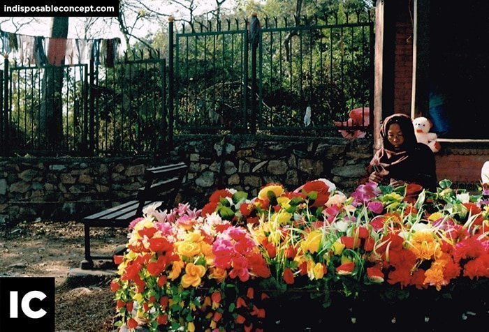 Funsaver Disposable Camera