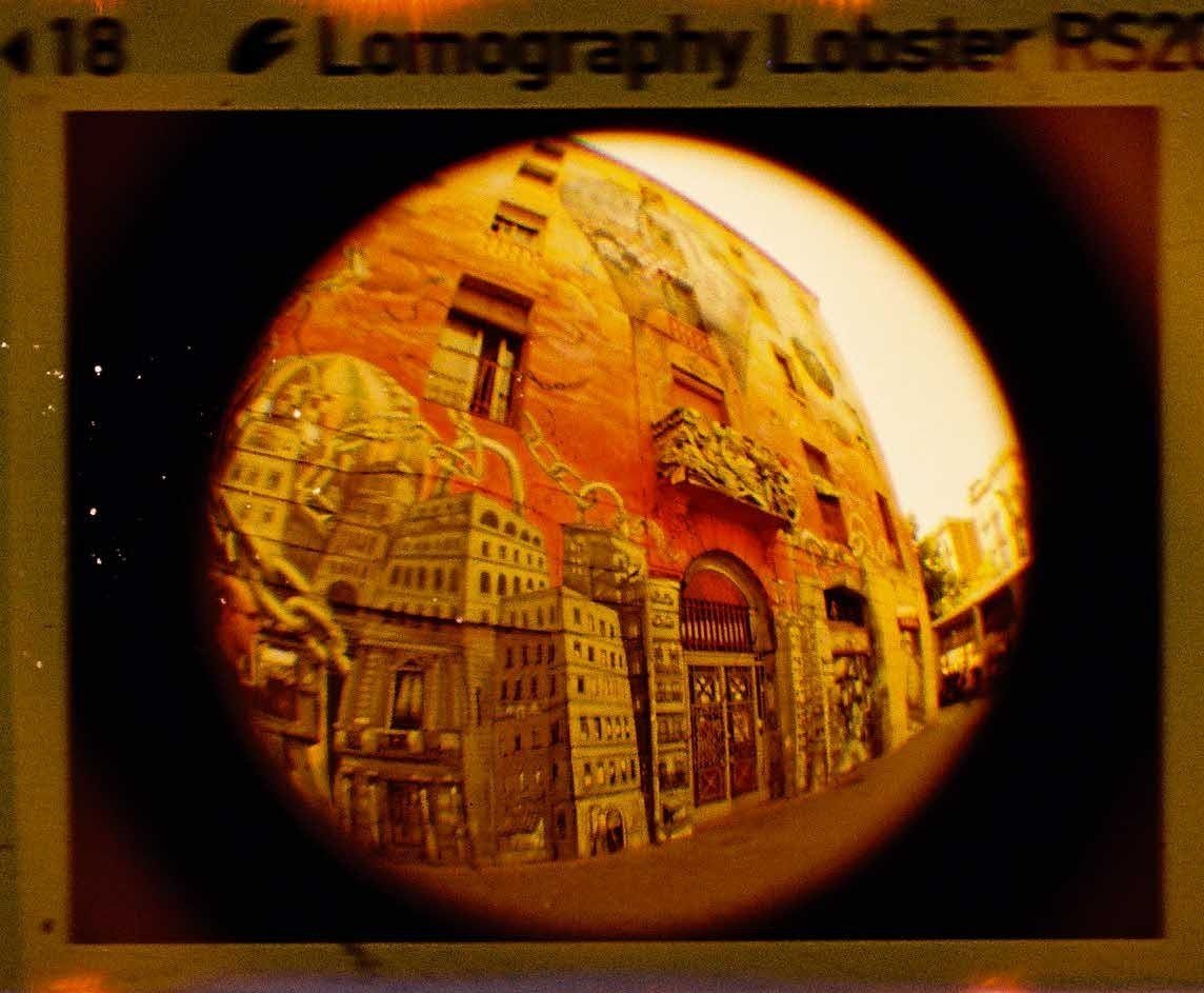 Lobster 200 110 Film
