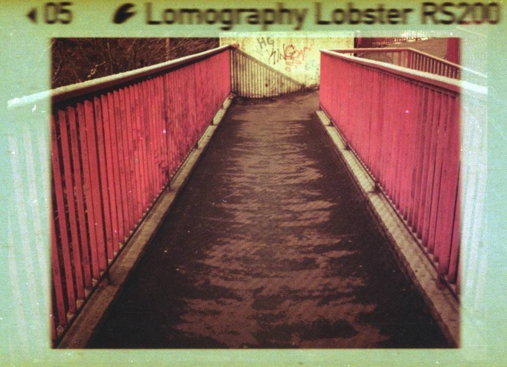 Lobster 200 110 Film