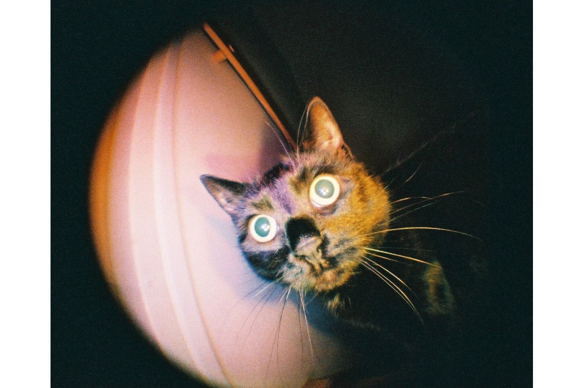 Lomography Baby Fisheye 110 Camera