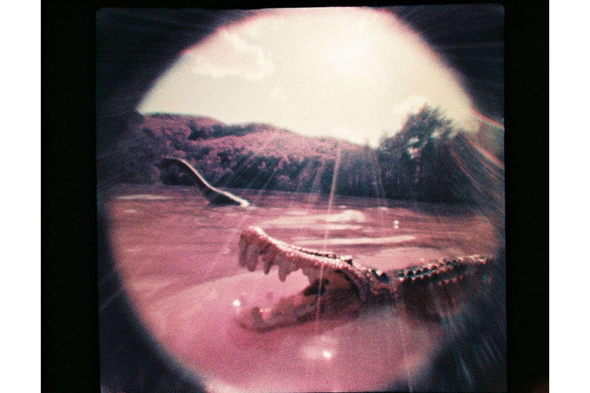 Lomography Baby Fisheye 110 Camera