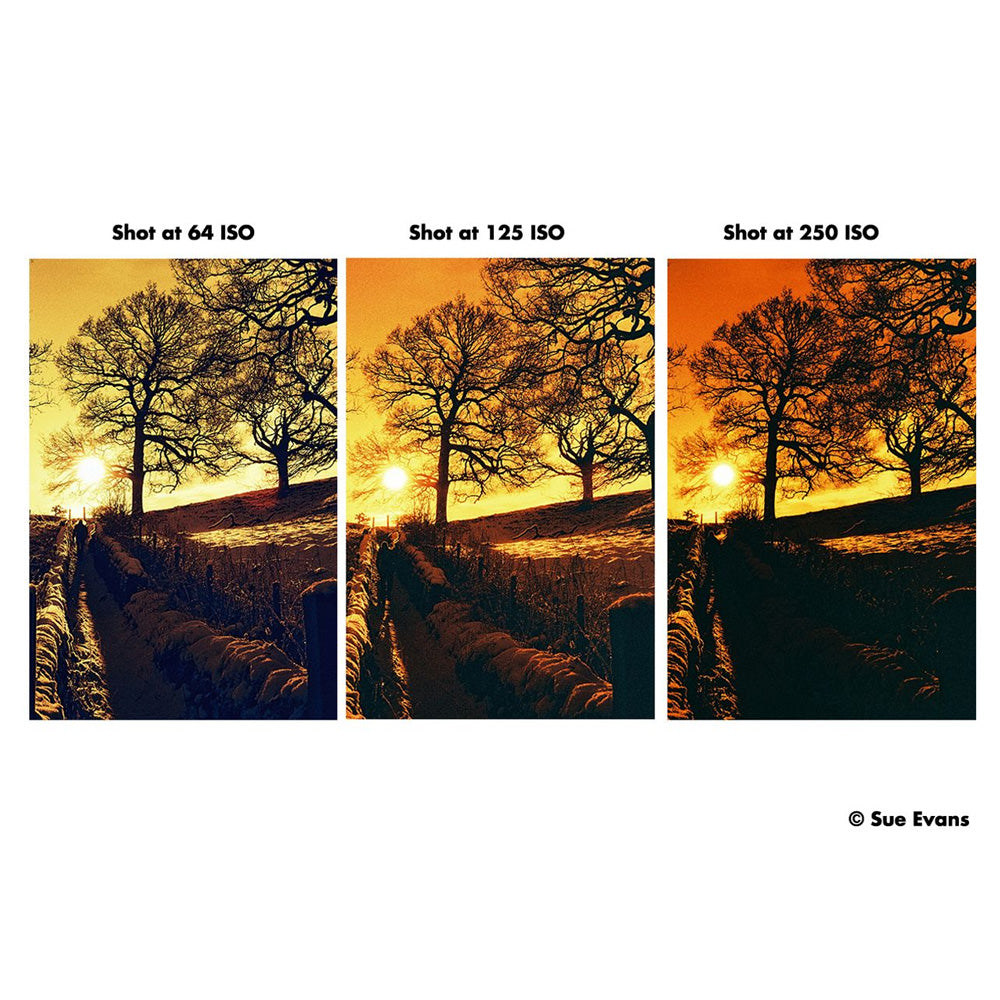 Harman Red 125 35mm