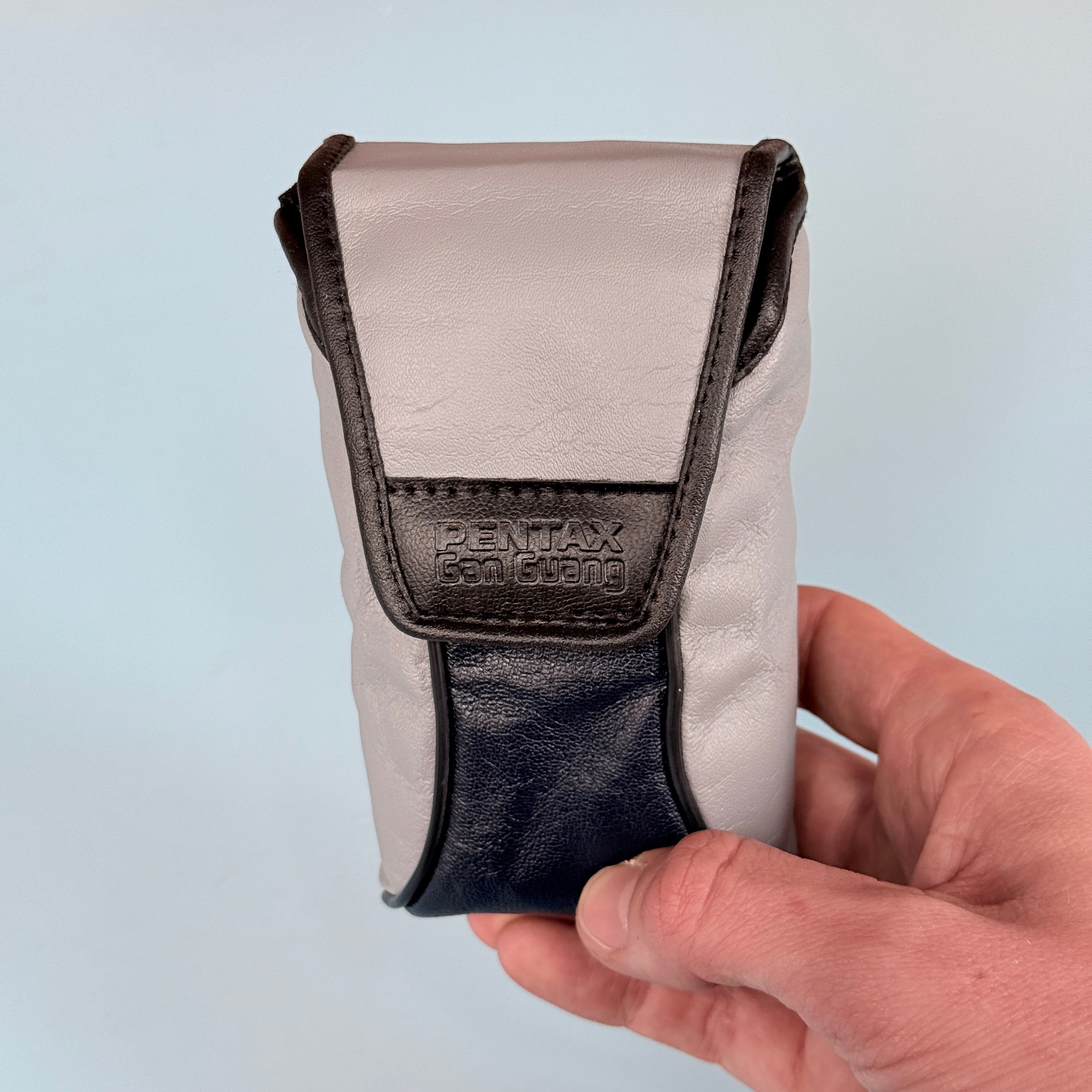 Pentax PG-101 35mm Point & Shoot Camera