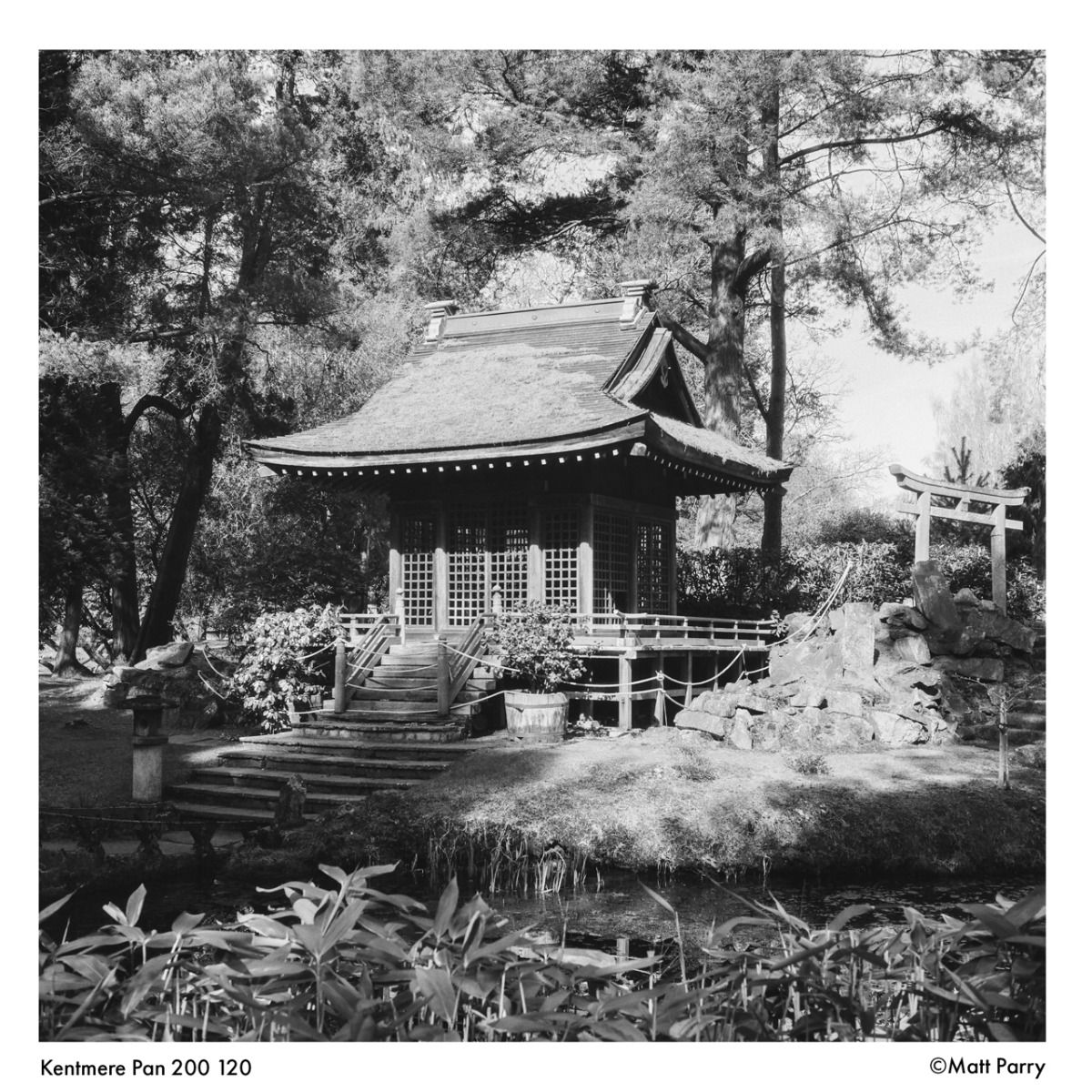 Kentmere Pan 200 120 Film