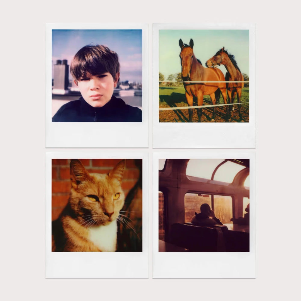 Polaroid SX-70 Colour Film - Paul Giambarba Spectrum Edition
