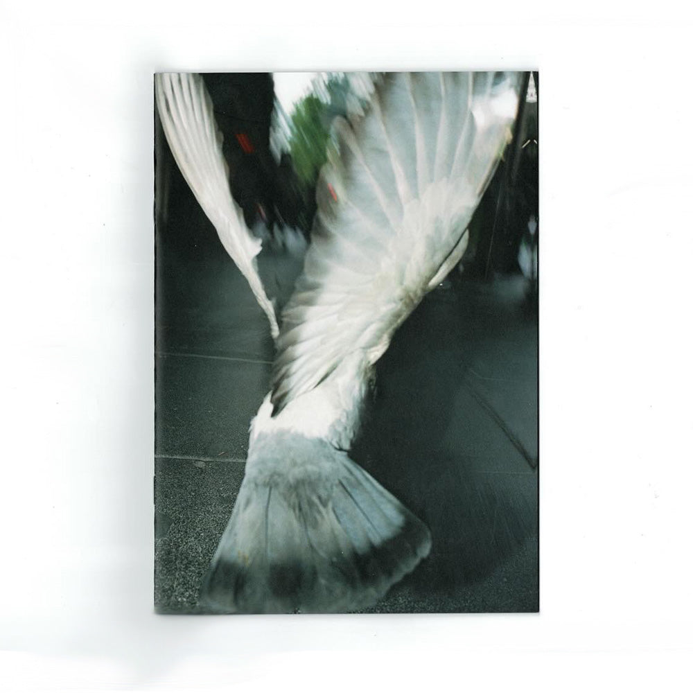 'Pigeon Envy' Zine