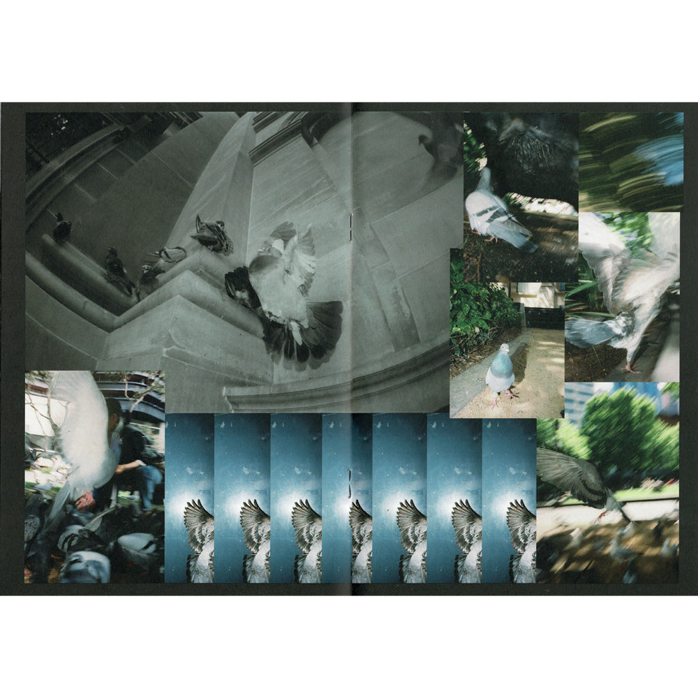 'Pigeon Envy' Zine
