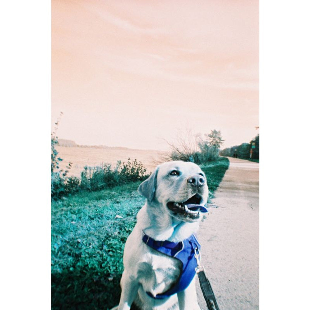 Lomography Simple Use Film Camera - LomoChrome Turquoise