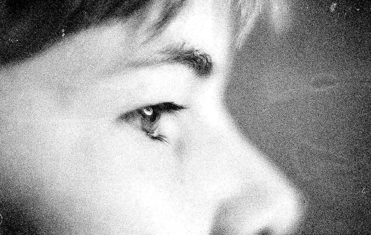 Delta 3200 120 Film