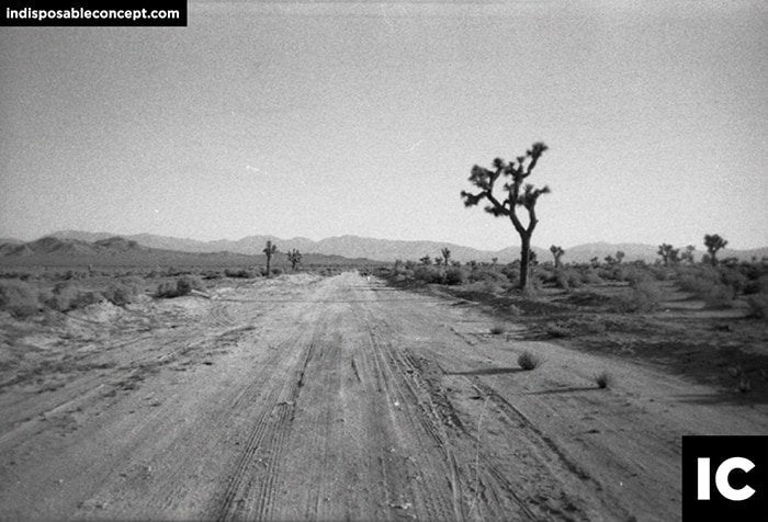 HP5+ B&W Disposable Camera
