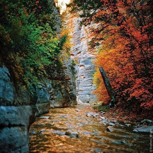 Ektar 100 120 Film