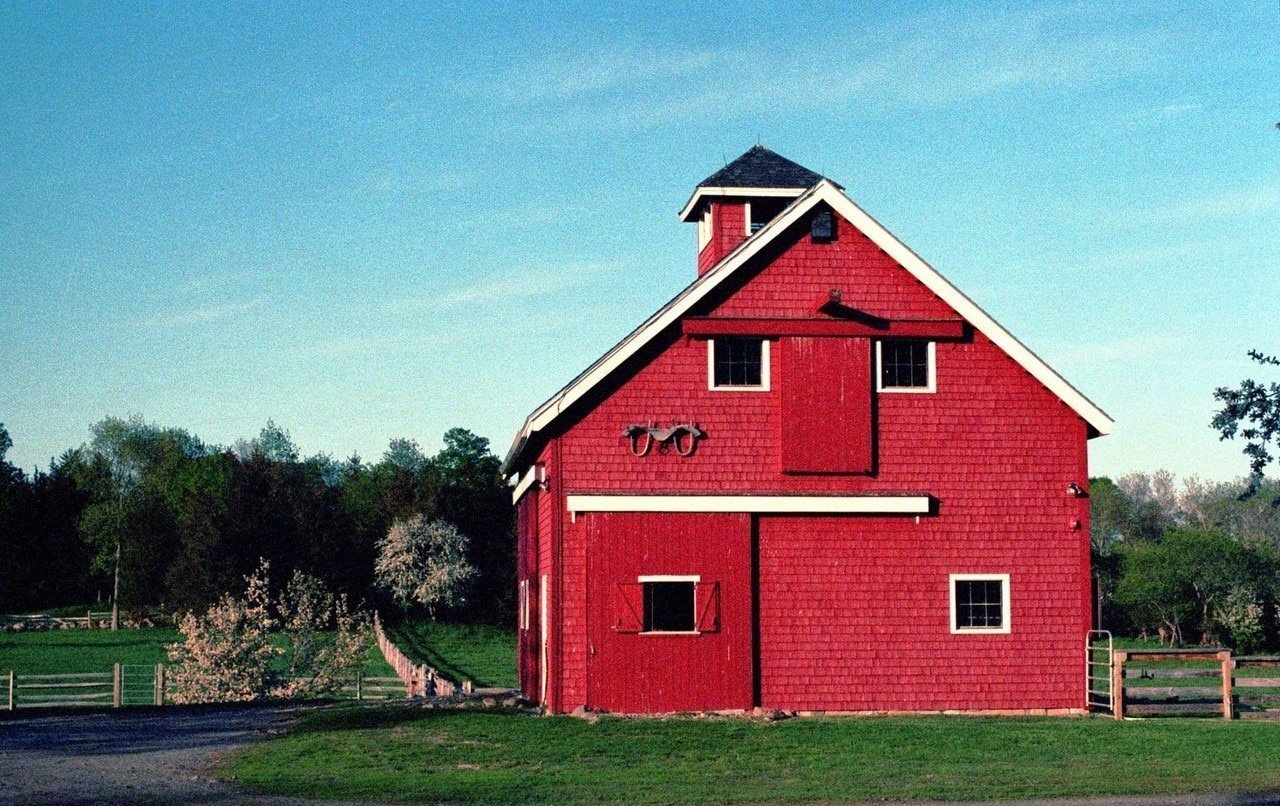 Portra 400 35mm