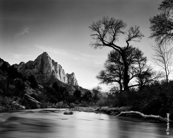 T-Max 100 35mm